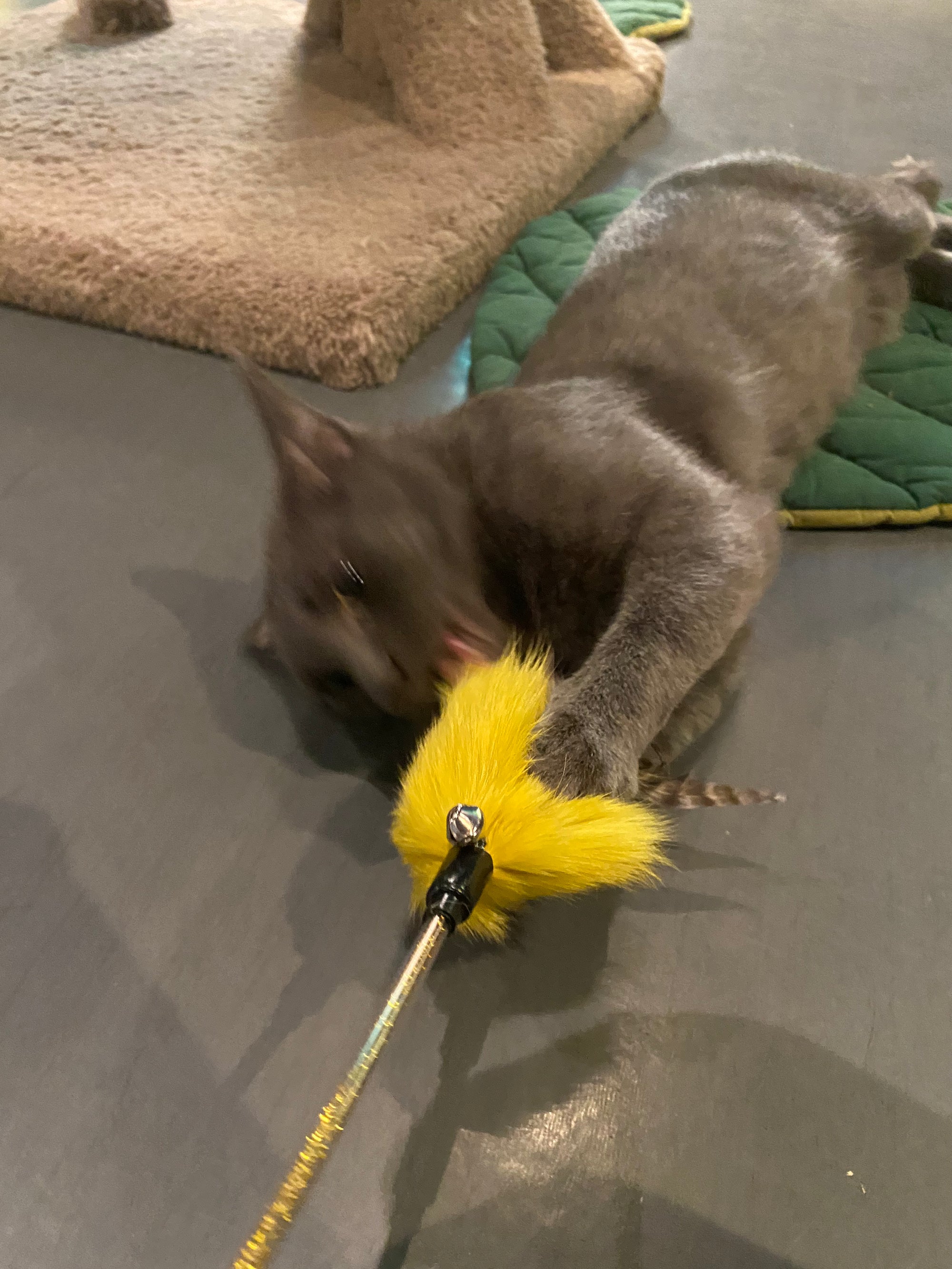 Rabbit Fur & Feather Cat Teaser Toy - Assorted Colors