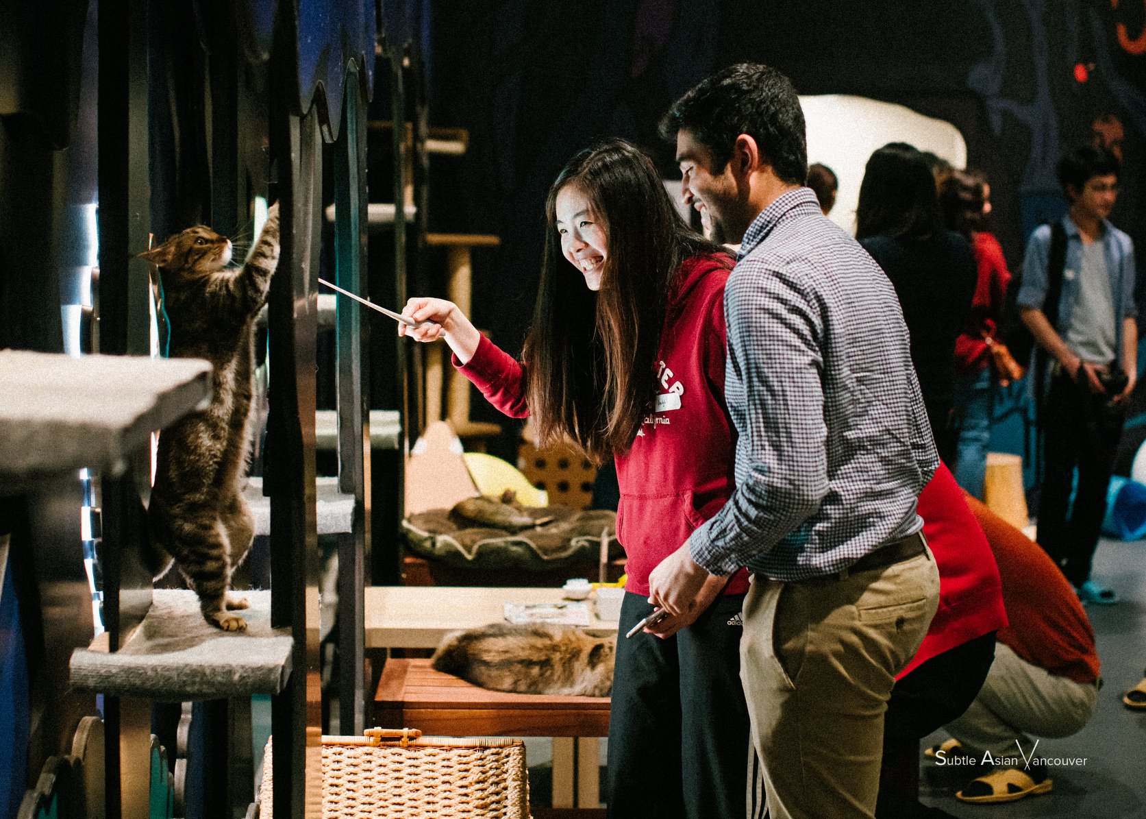 50 Minute Cat Forest Visit - Catoro