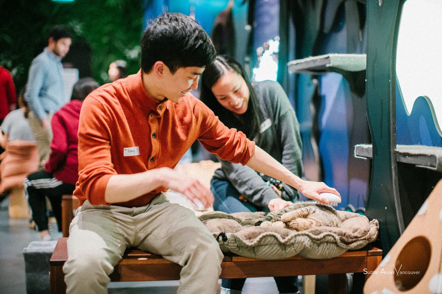 50 Minute Cat Forest Visit - Catoro