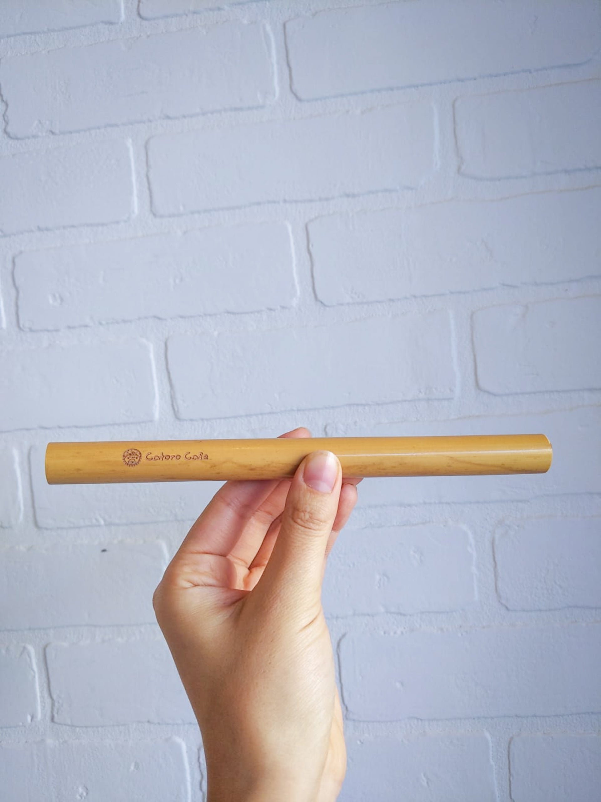 Reusable Bamboo Straw Kit - Catoro