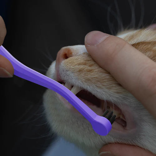 RYERCAT Dual Sided Cat Toothbrush